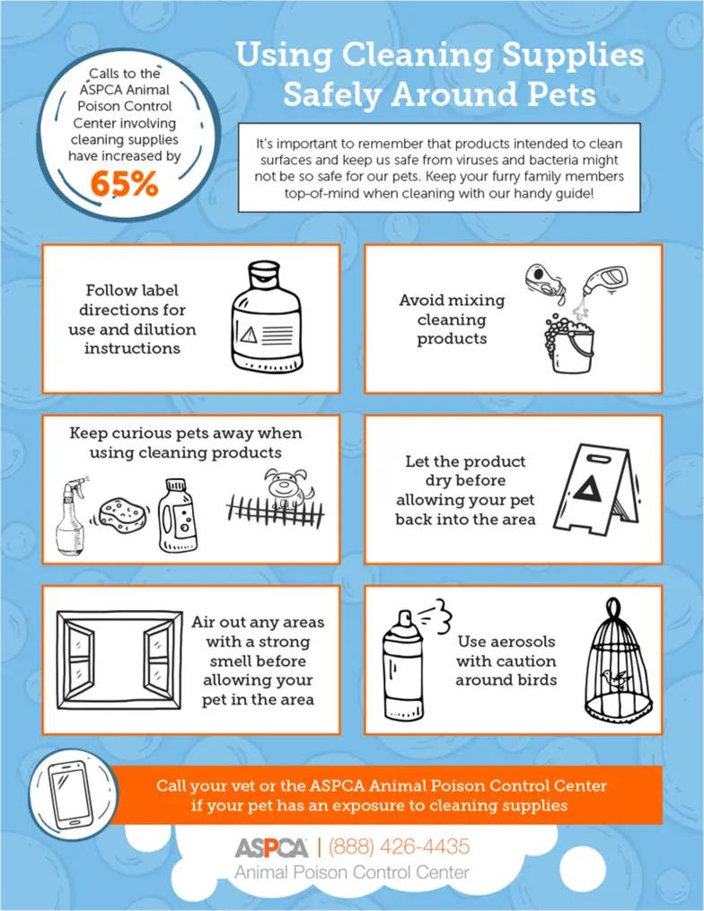 illustration of various safety tips