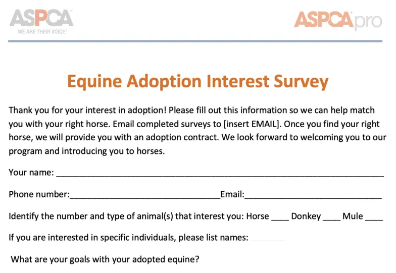 first few lines of the equine adoption survey document
