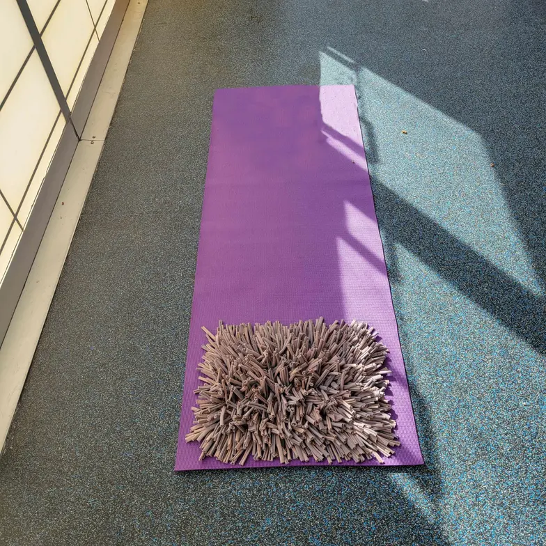 A snuffle mat on top of a purple yoga mat